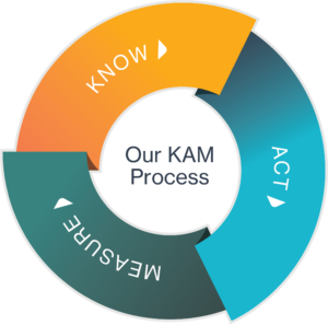 Know Act Measure process for account managers