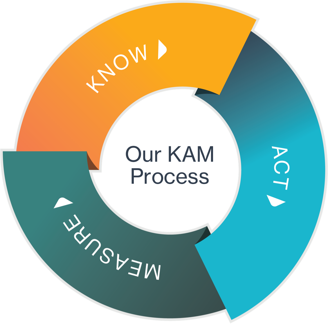 Deep processing. Тренинг для Key account Manager. Кей аккаунт менеджер. Customer value Management.